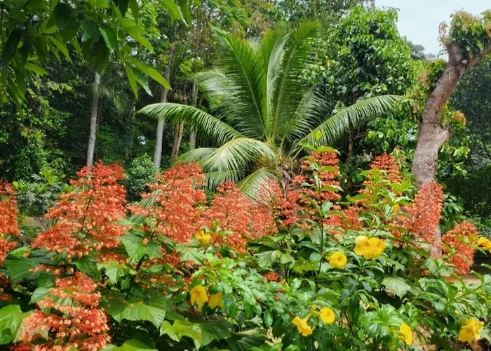 Belombre River Villa Bel Ombre